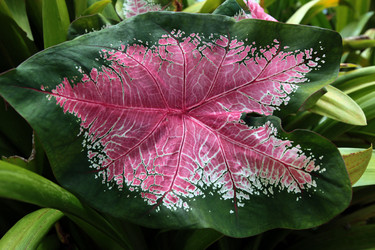 Similar image 13072882