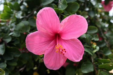 Similar image 13072905