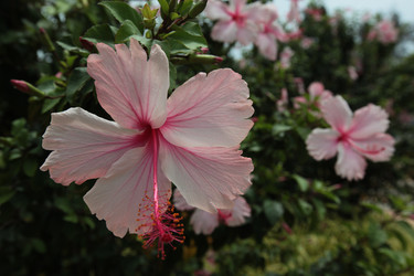 Similar image 13072919