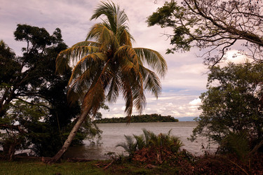 Similar image 13083397