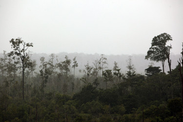 Similar image 13083366