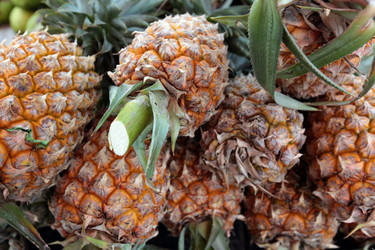 Similar image 13083296