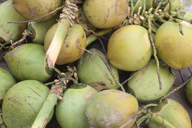 Similar image 13083433