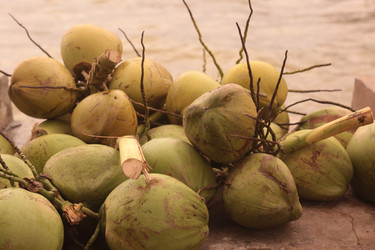 Similar image 13083455