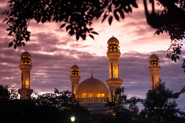 Similar image 13083471