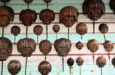 Similar image 13083518