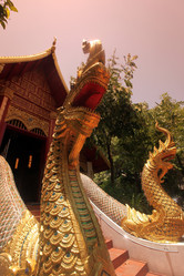 Similar image 13067916