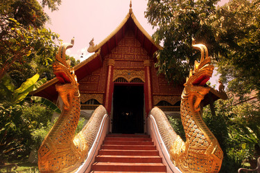 Similar image 13067953