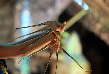 Similar image 13067954