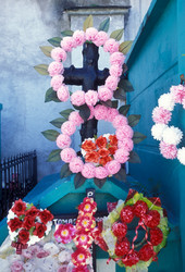 Similar image 13072146