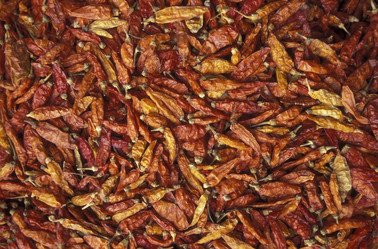 Similar image 13072629