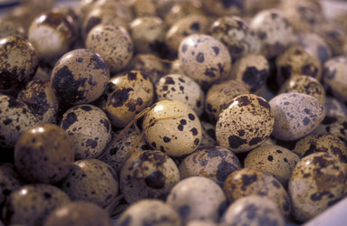 Similar image 13072333