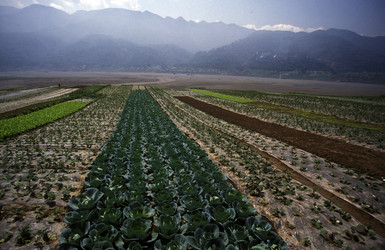 Similar image 13072549