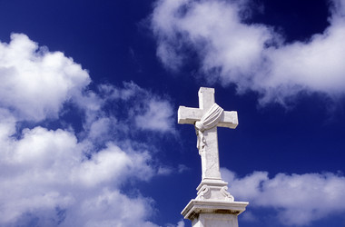 Similar image 13083538