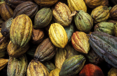 Similar image 13083577