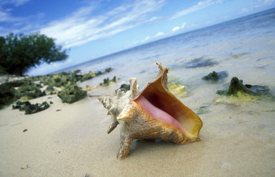 Similar image 13072672