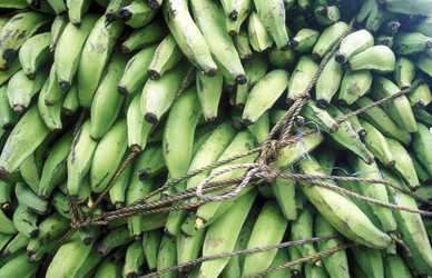 Similar image 13072493