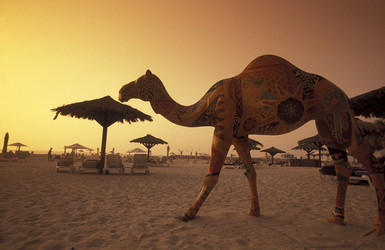 Similar image 13072494