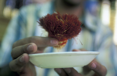 Similar image 13072552