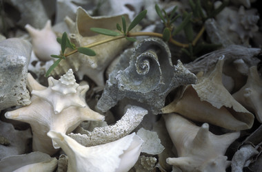 Similar image 13072591