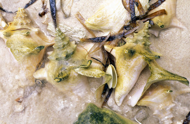 Similar image 13072707