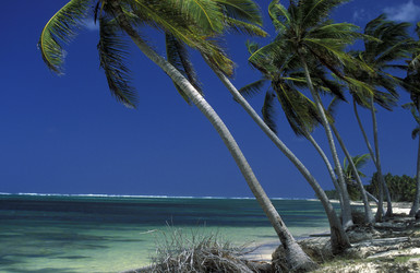 Similar image 13072885