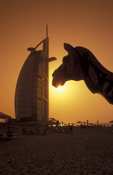 Similar image 13083299