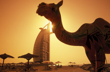 Similar image 13083522