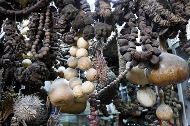 Similar image 13072513