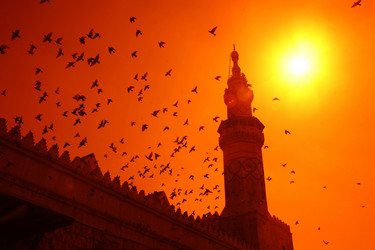 Similar image 13072686