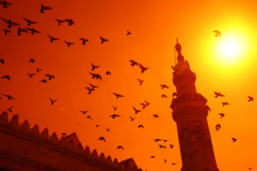 Similar image 13072708