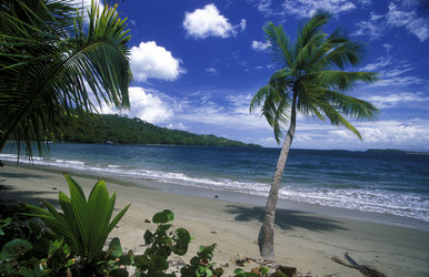 Similar image 13083265