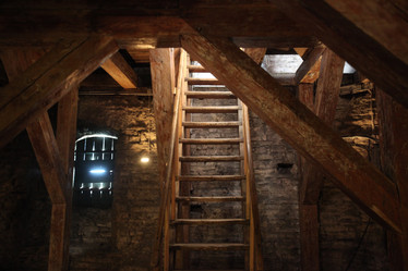 Similar image 13083559