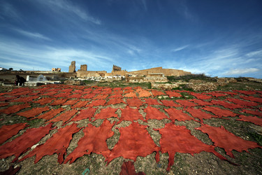 Similar image 13072835