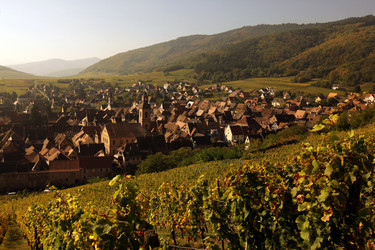 Similar image 13083382