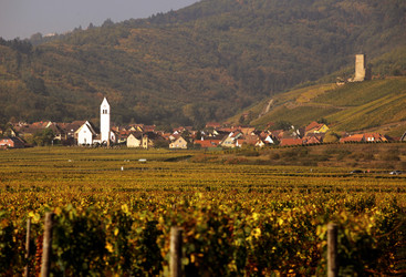 Similar image 13083442