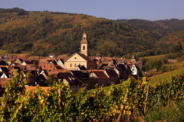 Similar image 13083459