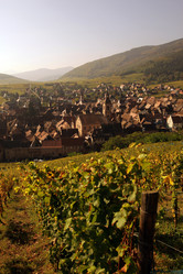 Similar image 13083478