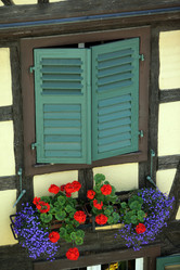 Similar image 13083561