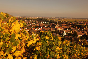 Similar image 13083562