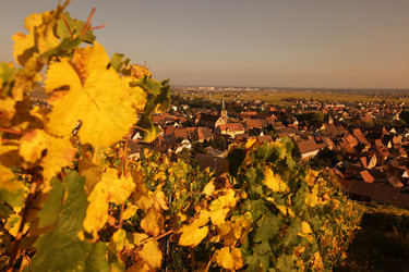 Similar image 13083563