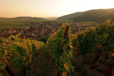 Similar image 13083600