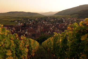 Similar image 13083622