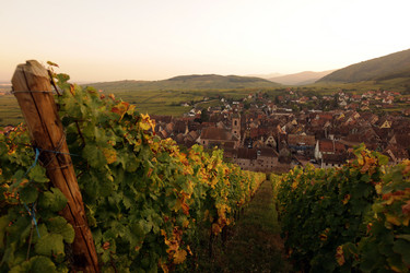 Similar image 13083639