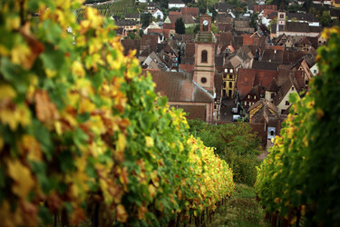 Similar image 13083679