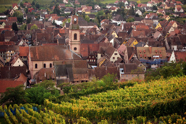 Similar image 13095075