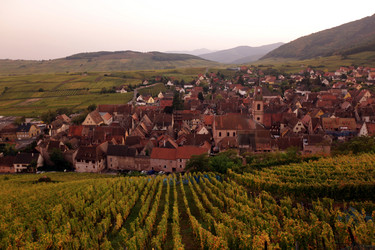 Similar image 13095085