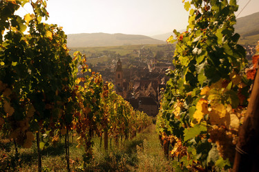 Similar image 13097854