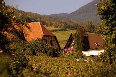 Similar image 13103213