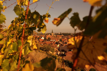 Similar image 13103214